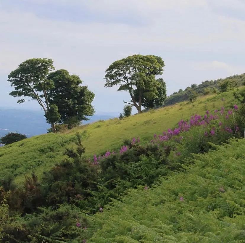 Open Welsh hillside and valley under changing light