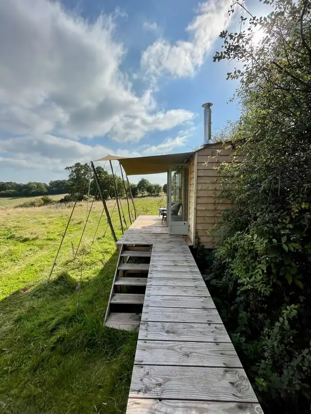 Wildflower meadow on a rewilding project in Wales