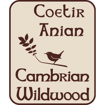 Cambrian Wildwood logo