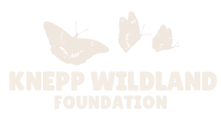 Knepp Wildland Foundation logo