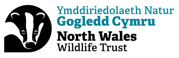 Welsh Beaver Project logo