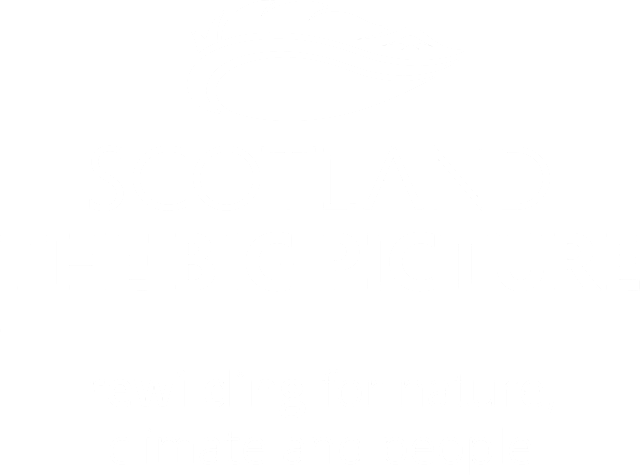 SCOTLAND: The Big Picture logo