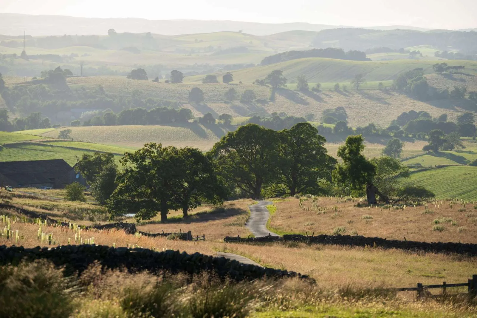 Rolling pasture, hedgerows and mature trees across the Broughton estate in North Yorkshire