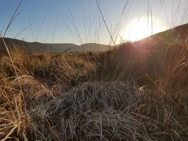 Frosted moor grass and low sun over the uplands at Bwlch Corog near Machynlleth
