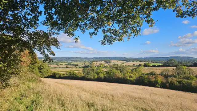 Rough grassland, hedgerows and oak trees at Heal Somerset