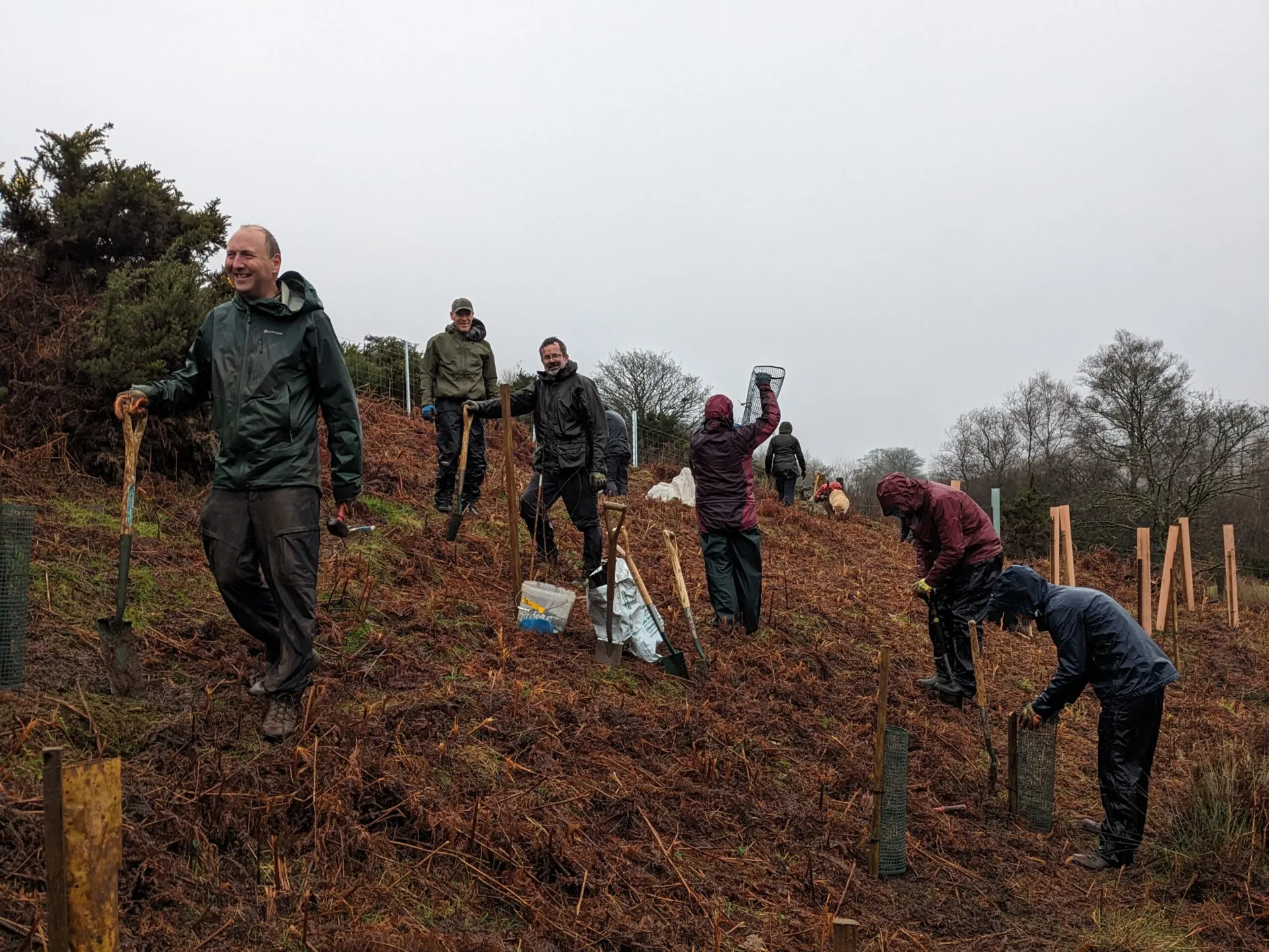 Moor Trees volunteers planting native saplings on a bracken-covered Devon hillside on a wet winter day