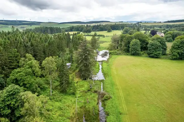 Beaver wetland alongside farmland at the Bamff Estate, Perthshire