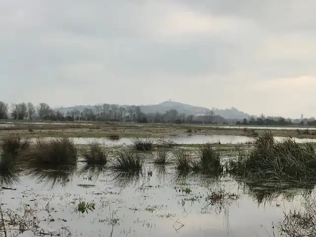 Flooded fields and winter light across the Somerset Levels