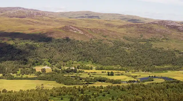 Dundreggan estate in Glen Moriston, with regenerating native woodland