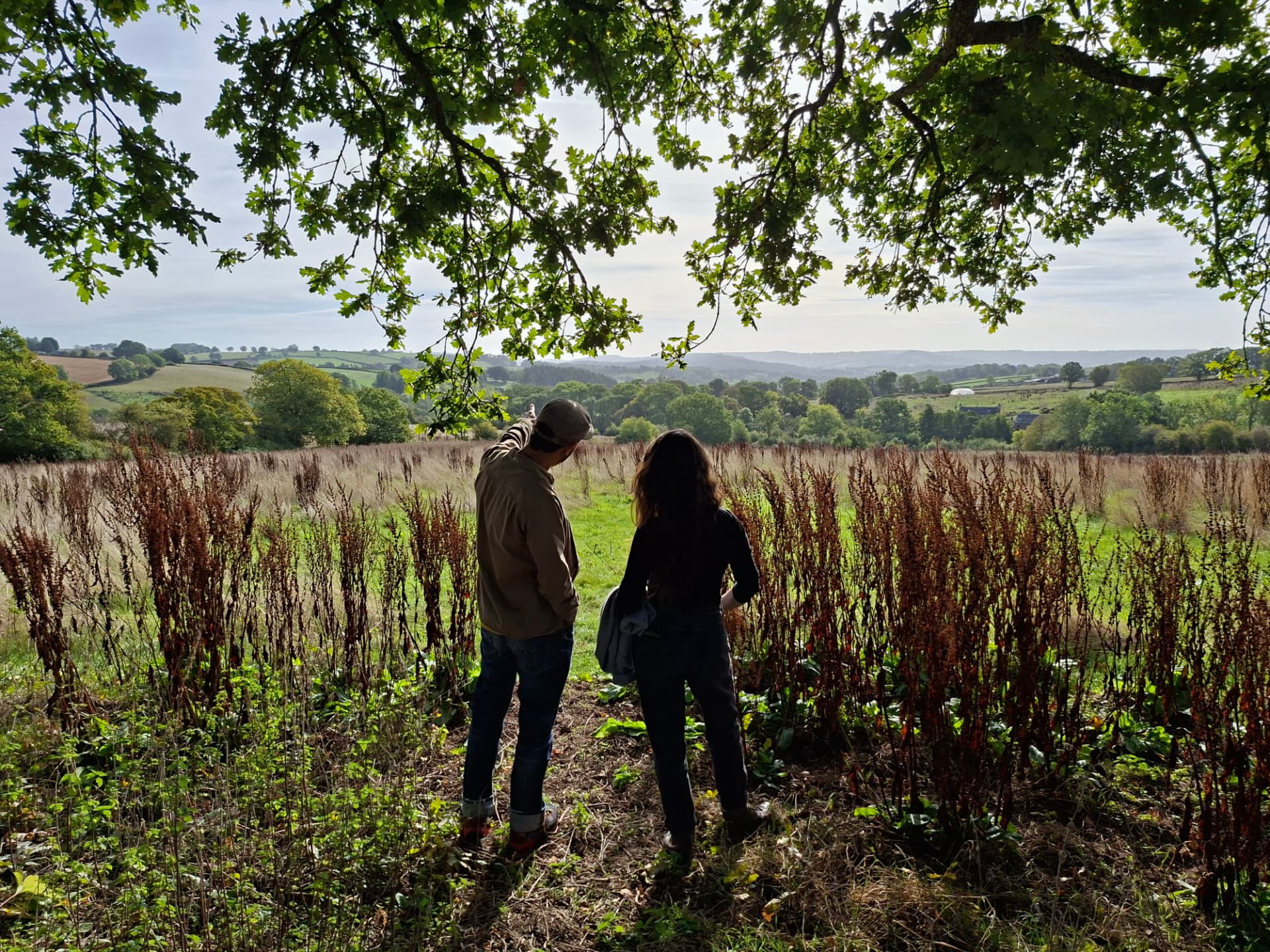 Two people looking out over the Monmouthshire hills from beneath an oak